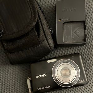 Sony Cyber-Shot DSC-W310 with Lowepro Case